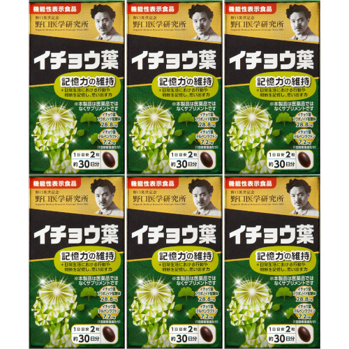 イチョウ葉 60粒【6個セット】(4562193141725-6)