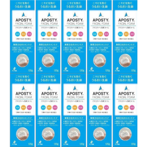アポスティー 洗顔フォーム 120g【10個セット】(4987103043690-10)