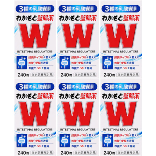 わかもと整腸薬 240錠【6個セット】(4987243124167-6)