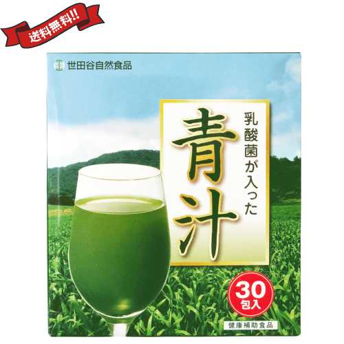 青汁 世田谷自然食品 乳酸菌が入った青汁 30包 6箱セットの通販は