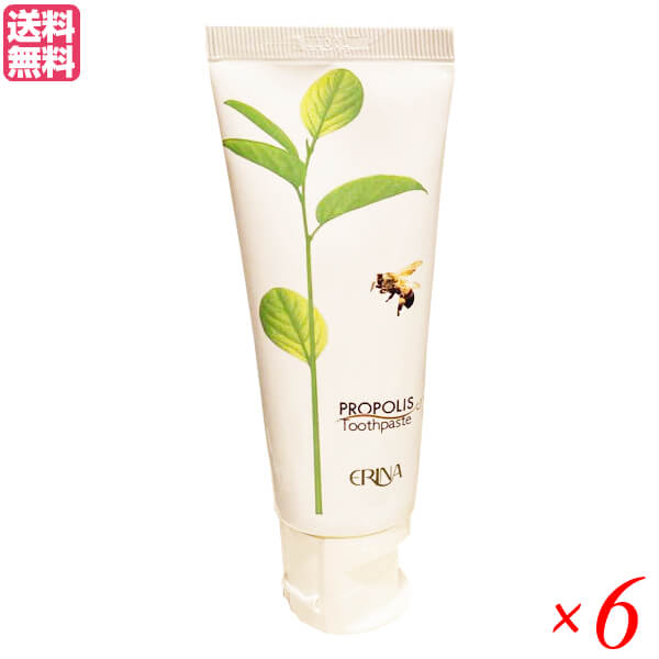 【当店最大16%+日曜5%】〜6/15(月)9:59！エリナ P歯磨き 95g 6本セット プロポリス 歯磨き ハミガキ 送料無料