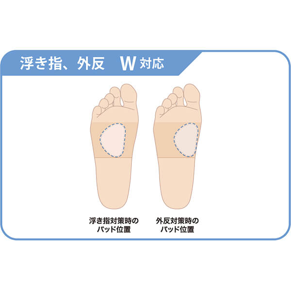 幻想文学大事典(中古品) 幻想文学大事典 ジャック サリヴァン (国書