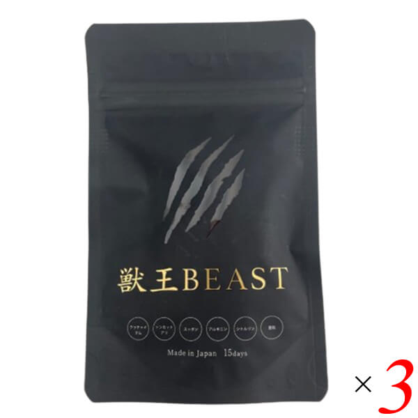 獣王BEAST 45粒 15日分 3個セット 亜鉛 サプリ サプリメント カプセル 栄養機能食品 ミネラル類