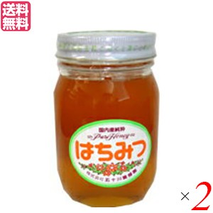 はちみつ 蜂蜜 国産 五十川養蜂園 国産はちみつ 混花 500g ２個 送料無料の通販は