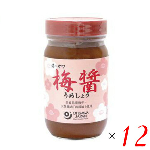 梅醤 練り梅 うめびしお オーサワ 梅醤（うめしょう） 250g １２個セット