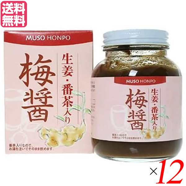 【ポイント最大+5%！】お買い物ラリー！梅醤 梅びしお 梅醤番茶 ムソー 無双本舗 生姜 番茶入り梅醤 ２５０ｇ 12個セット 送料無料