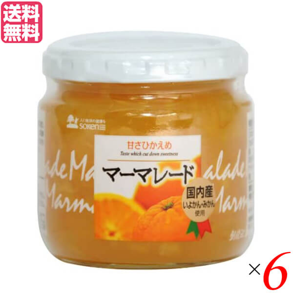ジャム ジャム瓶 マーマレード 創健社 マーマレード 200g ６本セット 送料無料