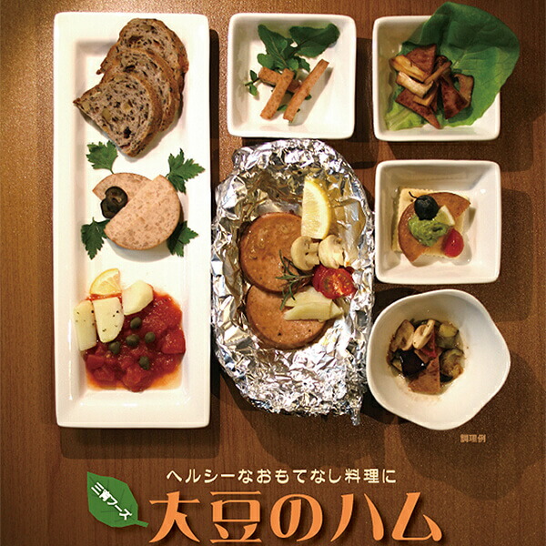【当店最大16%+日曜5%】〜6/15(月)9:59！大豆ミート ハム ソイミート 三育フーズ 大豆のハム 400g 10個セット 送料無料_1
