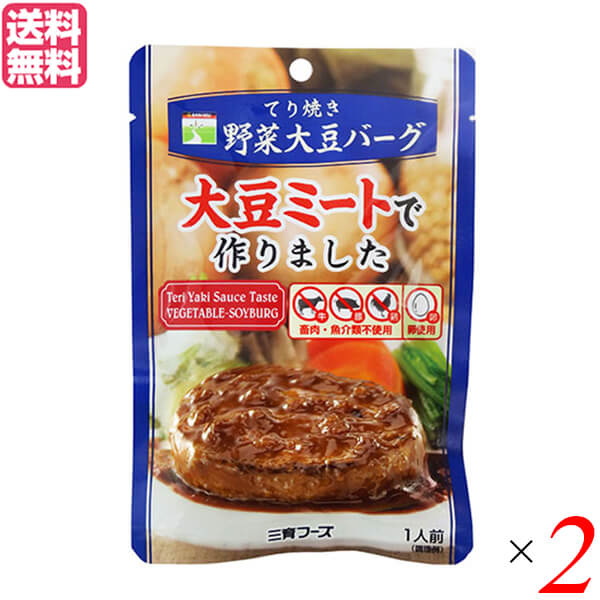 大豆ミート ソイミート ハンバーグ 三育フーズ てり焼き野菜大豆バーグ 100g ２個セット 送料無料