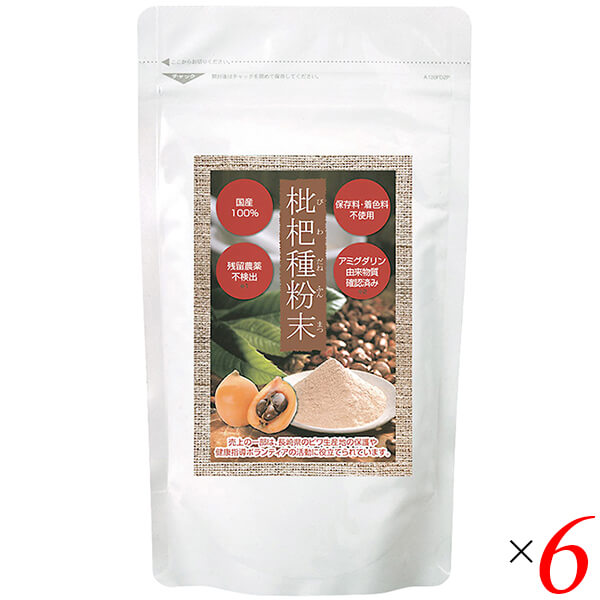 枇杷種粉末 枇杷種 ビワ種 枇杷種粉末 100g 6個セット エス・エフ・シー 送料無料