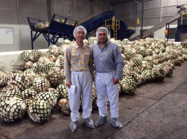 アガベシロップ 有機 甘味料 三宗貿易 有機アガベシロップ 5.6kg