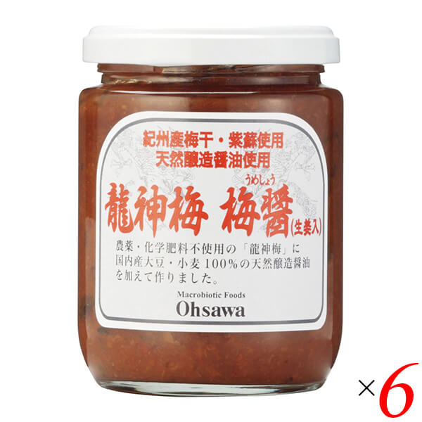 【ポイント最大+5%！】お買い物ラリー！梅醤 梅醤番茶 国産 龍神梅 梅醤（生姜入）250g 6個セット オーサワ 送料無料