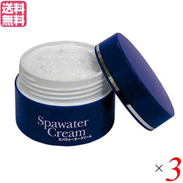 オールインワン クリーム コエンザイムQ10 スパウォータークリーム 80g 不動化学 3個セット 送料無料