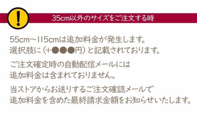 ゴキブリ リアル ぬいぐるみ 人形 クッション 害虫 虫 本物 おもしろ びっくり サプライズ プレゼント ギフト 贈り物 ラッピング 即納 送の通販はau Pay マーケット ソドムアンドゴモラ