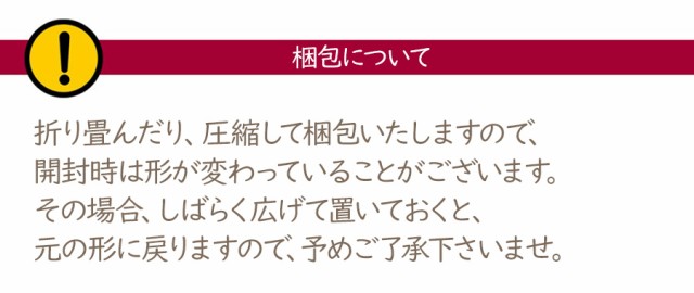 ゴキブリ リアル ぬいぐるみ 人形 クッション 害虫 虫 本物 おもしろ びっくり サプライズ プレゼント ギフト 贈り物 ラッピング 即納 送の通販はau Pay マーケット ソドムアンドゴモラ