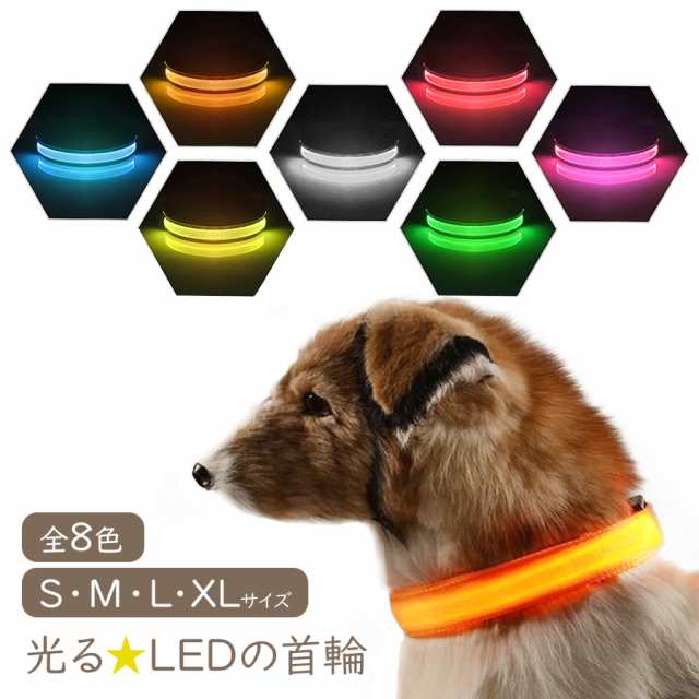 犬 首輪 光る Led ペット 夜間 散歩 事故防止 安全 メール便送料無料 即納の通販はau Pay マーケット ソドムアンドゴモラ