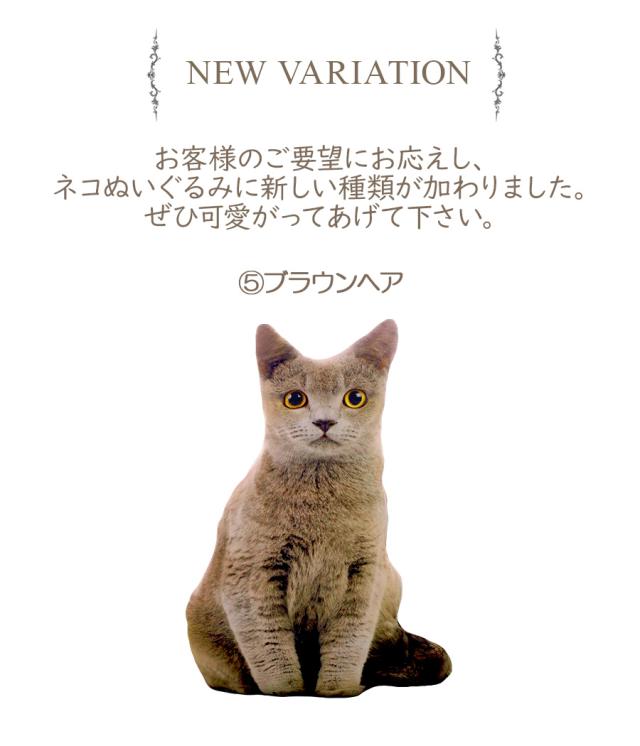 猫 ぬいぐるみ ネコ ねこ 枕 抱き枕 クッション 人形 誕生日 プレゼント 子供 女の子 男の子 かわいい ギフト 贈り物 ラッピング 即納の通販はau Pay マーケット ソドムアンドゴモラ