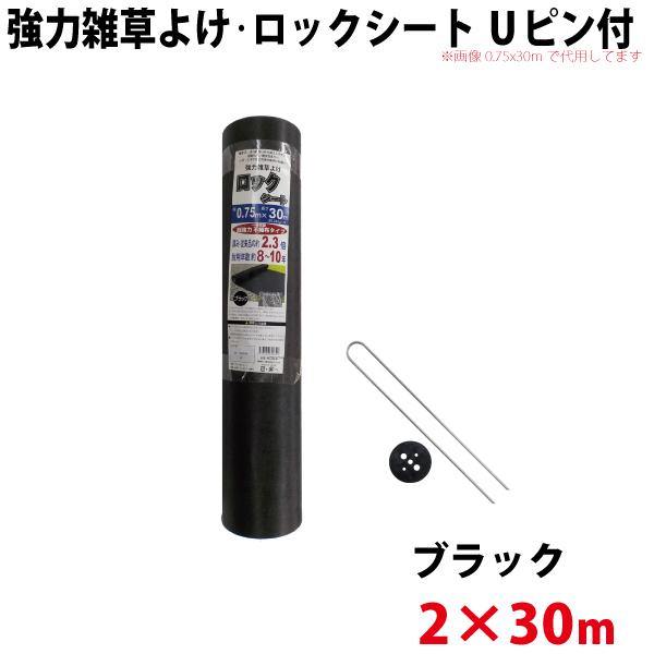 【Uピン黒丸セット】 シンセイ 強力雑草よけシート ロックシート　2ｍ×30ｍ 【北海道・九州別途送料/代引不可/沖縄県配達不可】