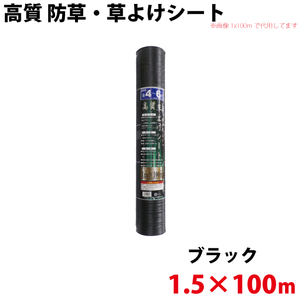 ✨すぐに使える薄型ノートパソコン！爆速新品SSD256GB⭐カメラ 【公式