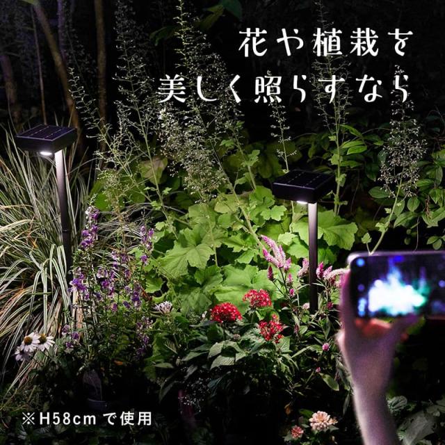 タカショー ガーデンライト ひかりノベーション SUNCHARGE 花のひかり 2個セット サンチャージ おしゃれ 屋外 庭 ソーラー LED 節電 照明 LGS-LH02P Takasho_7