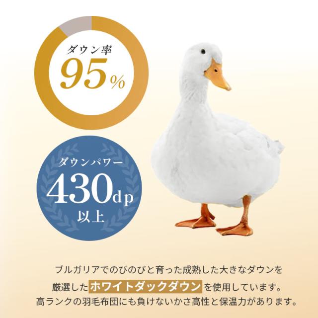 DAKS ダックス ウォッシャブル羽毛掛け布団 150×210 シングル 羽毛布団