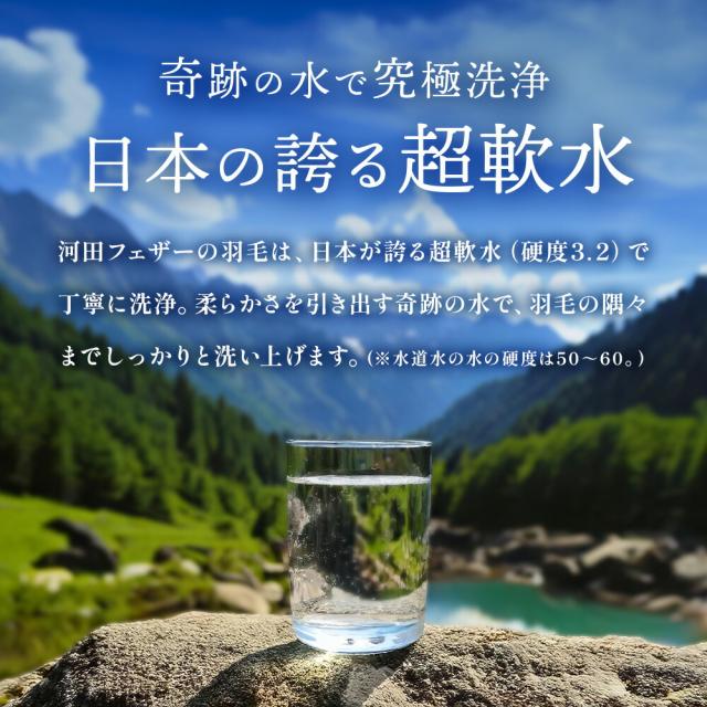 グース 羽毛布団 ダブル ロング グースダウン93％ 日本製 河田フェザー 400dp以上 再生羽毛 リサイクルダウン 1.3kg 綿混生地 国内パワーアップ加工 国内洗浄 暖か_5
