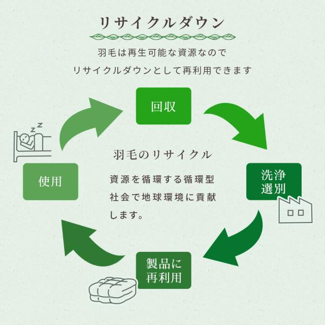 2枚合わせ 羽毛布団　シングル　羽毛掛け布団 京都金桝 日本製 ウォッシャブル オールシーズン リサイクルダウン80％ 再生羽毛 合掛け 肌掛け デュエット_6