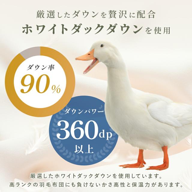 京都金桝 羽毛 合掛け 布団 シングル 日本製 ホワイトダウン90％ 0.7kg 綿100％ コットン エコテックス 春用 秋用 冬用 当社限定_10