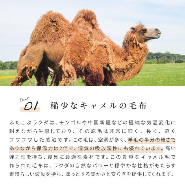 キャメル 毛布 シングル 140×200 日本製 インナーブランケット 掛け毛布 ブランケット 秋 冬 毛羽 キャメル100％ 節電 キャメル毛布_3