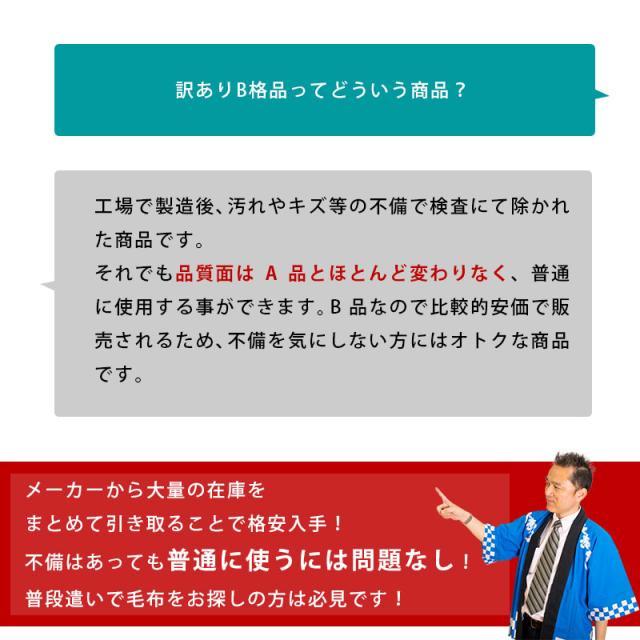 訳あり 色柄おまかせ 無地含む 2枚合わせ ひざ掛け 大判サイズ 100 140cm あったか ブランケット ふっくら ボリューム 冬 毛布 の通販はau Pay マーケット こだわり安眠館