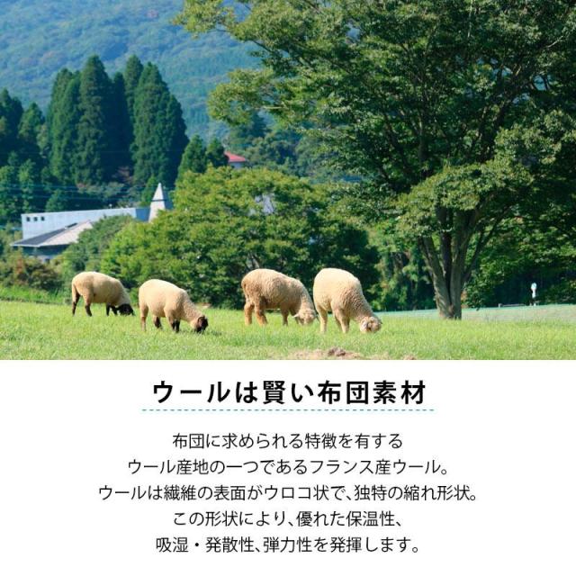 敷布団 セミダブル 羊毛布団 抗菌防臭 防ダニわた使用 日本製 羊毛混 固綿敷き布団 セミダブルロング_3