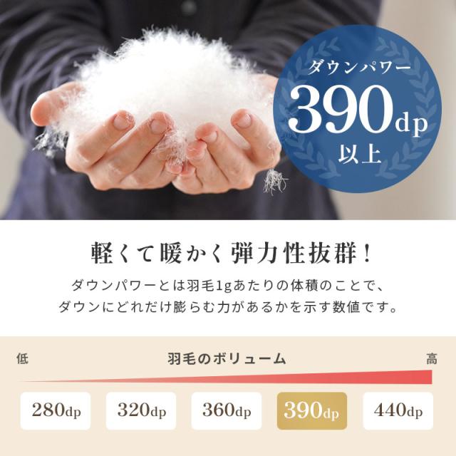 羽毛布団 ダブル 西川 日本製 ダウン93% 1.8kg フランス産 ダックダウン93% あったか 冬 190×210 390dp以上 ダブルロング_7