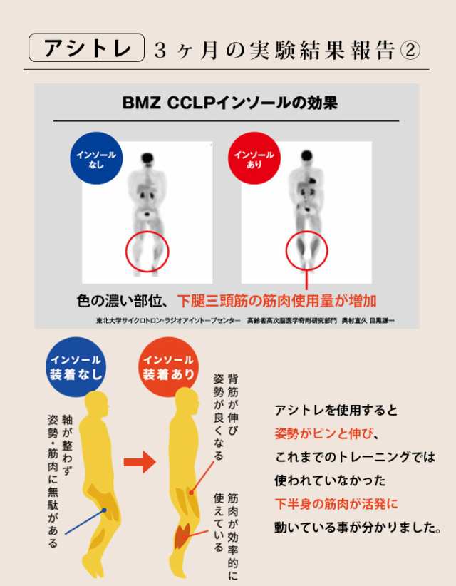 インソール アシトレ メンズ レディース Bmz 中敷き ビーエムゼット 足 快適 健康 筋トレ 効果 筋力 衝撃吸収 足底筋膜炎の通販はau Pay マーケット Lansh ランシュ