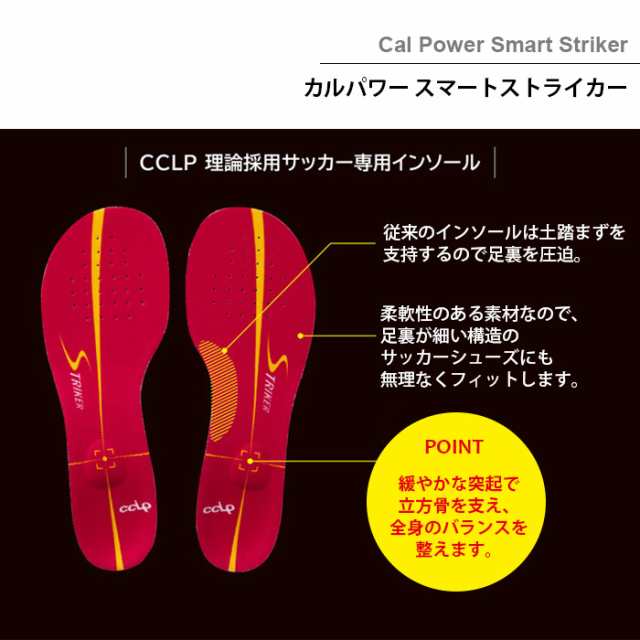 BMZ(ビーエムゼット) 「CCLP理論」モデル インソール カルパワー