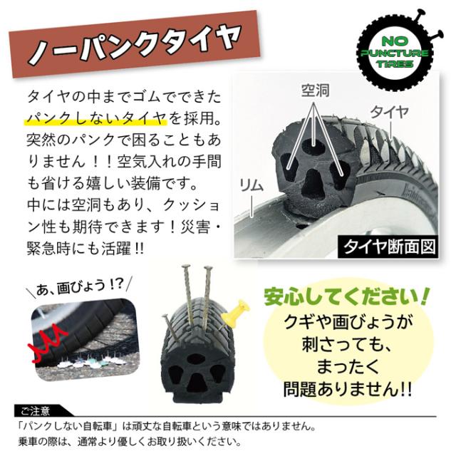 ACTIVE PLUS 三輪自転車 ノーパンク L 高齢者 大人用三輪車 シニア向け