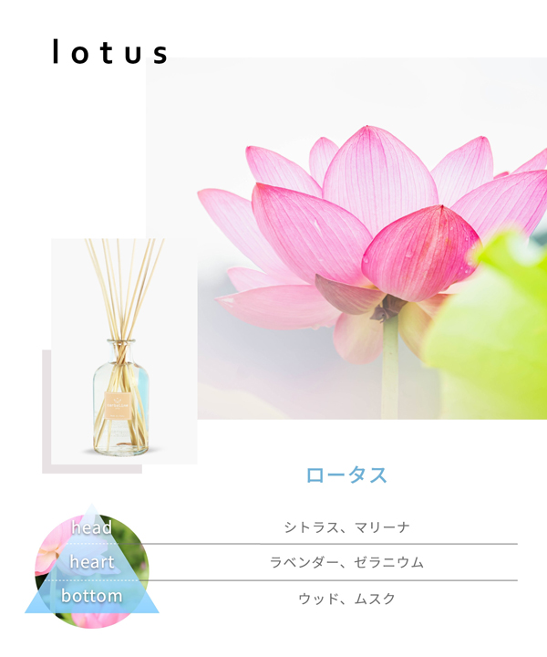 カルバリーネ CARBALINE リードディフューザー 500ml [全8種]の通販は