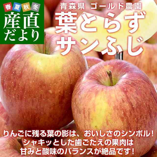 ★期間限定★青森県産 ふじ りんご 大＆特大玉 家庭用 6~8玉 ㉘