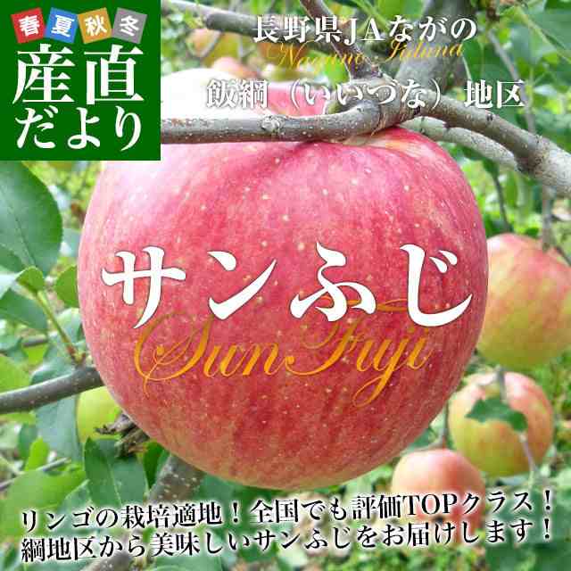 (14玉から20玉)　送料無料　マーケット　林檎　赤秀以上　PAY　産直だより　長野県より産地直送　au　PAY　マーケット－通販サイト　りんご　JAながの　5キロ　サンふじ　飯綱地区　リンゴの通販はau