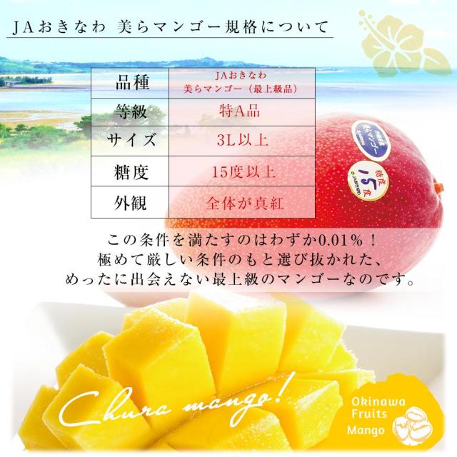 沖縄県より産地直送 JAおきなわ 美らマンゴー 最上級特A品 超大玉4Lから3Lサイズ 1キロ前後 (2玉入) 送料無料 from沖縄 沖縄マンゴー アップルマンゴー　お中元 ギフト【発送時期：カート内に記載しております】_3