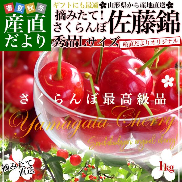 山形県より産地直送 さくらんぼ佐藤錦 大粒Lサイズ　秀品1キロ (500g×2P入) 送料無料 クール便　サクランボ　桜桃【発送時期：カート内に記載しております】