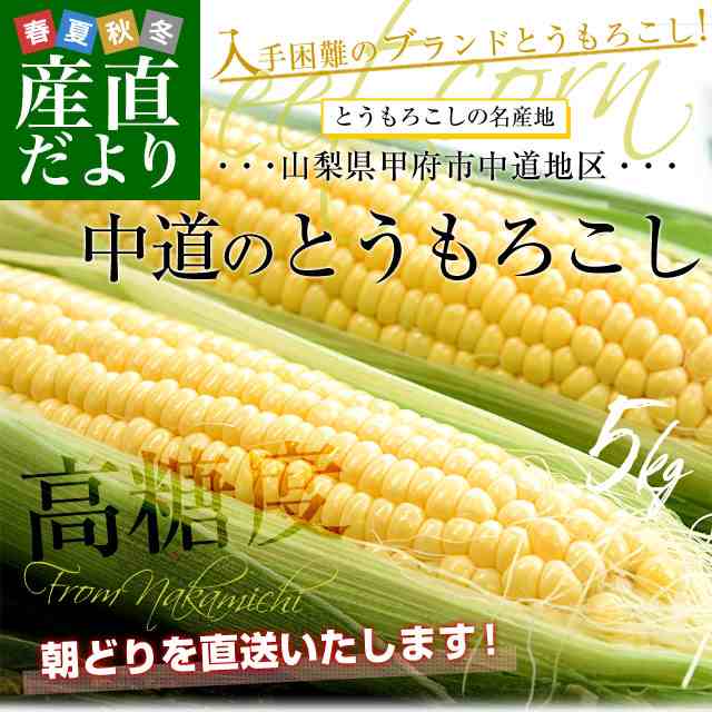 ⑪山梨県産 とうもろこし ゴールドラッシュ 2L 12本