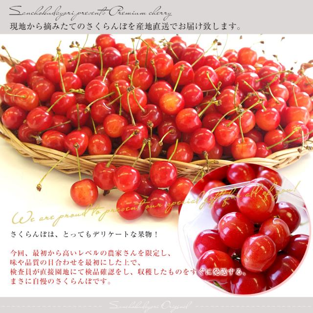 【母の日ギフト】山形県より産地直送 温室栽培さくらんぼ 佐藤錦　特秀品 Lサイズ 300g （48粒から54粒） 手詰め化粧箱 送料無料 母の日プレゼント 桜桃 さとうにしき【発送時期：カート内に記載しております】_3