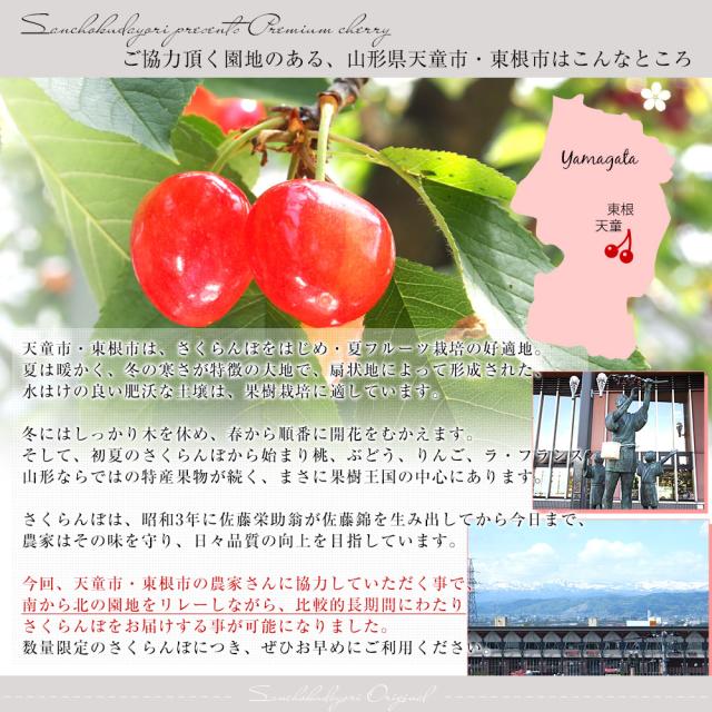 【母の日ギフト】山形県より産地直送 温室栽培さくらんぼ 佐藤錦　特秀品 Lサイズ 300g （48粒から54粒） 手詰め化粧箱 送料無料 母の日プレゼント 桜桃 さとうにしき【発送時期：カート内に記載しております】_4