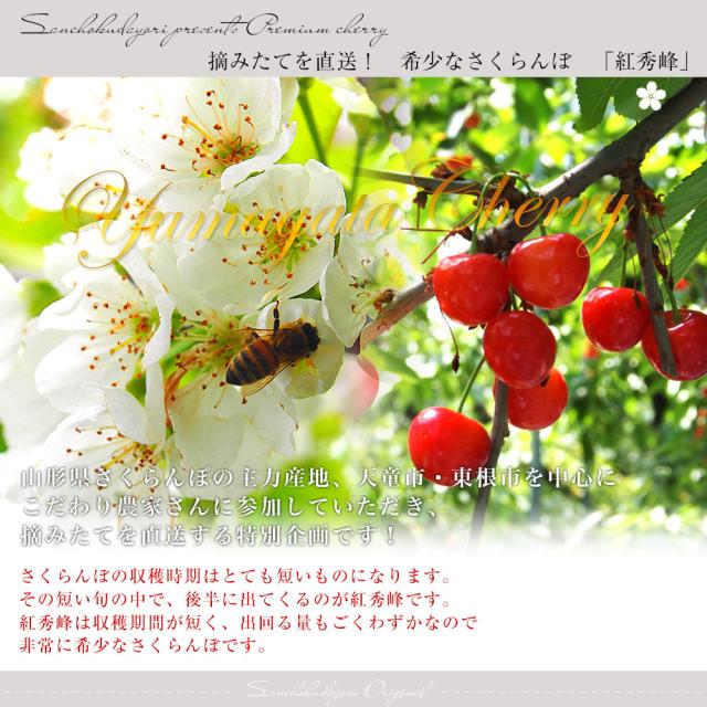 山形県より産地直送 さくらんぼ「紅秀峰」秀品　2Lサイズ　約1キロ（500g×2） 送料無料 クール便　サクランボ　桜桃【発送時期：カート内に記載しております】_2