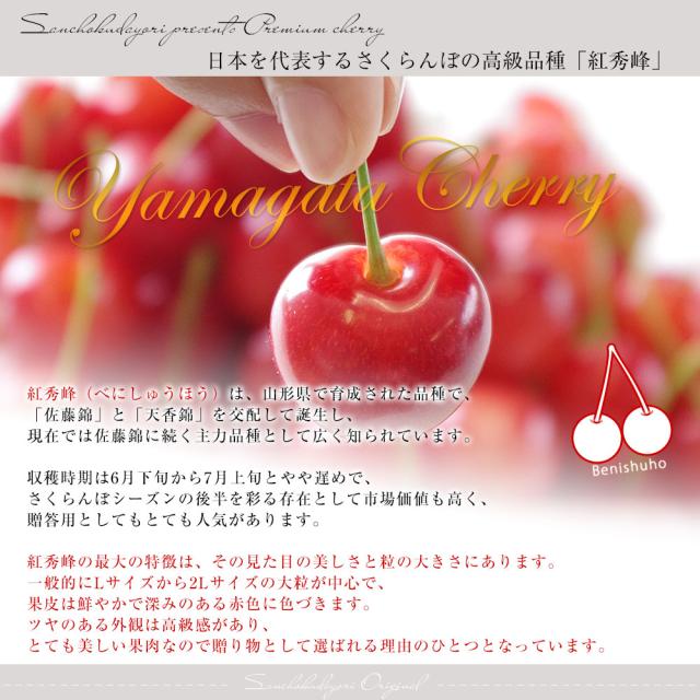 山形県より産地直送 さくらんぼ「紅秀峰」秀品　2Lサイズ　約1キロ（500g×2） 送料無料 クール便　サクランボ　桜桃【発送時期：カート内に記載しております】_3