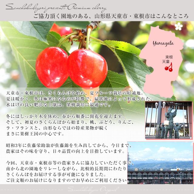 山形県より産地直送 さくらんぼ「紅秀峰」秀品　2Lサイズ　約1キロ（500g×2） 送料無料 クール便　サクランボ　桜桃【発送時期：カート内に記載しております】_5