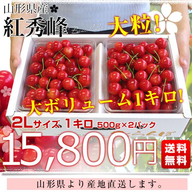 山形県より産地直送 さくらんぼ「紅秀峰」秀品　2Lサイズ　約1キロ（500g×2） 送料無料 クール便　サクランボ　桜桃【発送時期：カート内に記載しております】_1