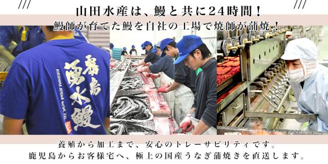 鹿児島県産 山田水産の極上国産うなぎ蒲焼「山田の粋（やまだのいき）」長焼（120g×4尾）送料無料 鰻蒲焼 ウナギ ※クール冷凍便 