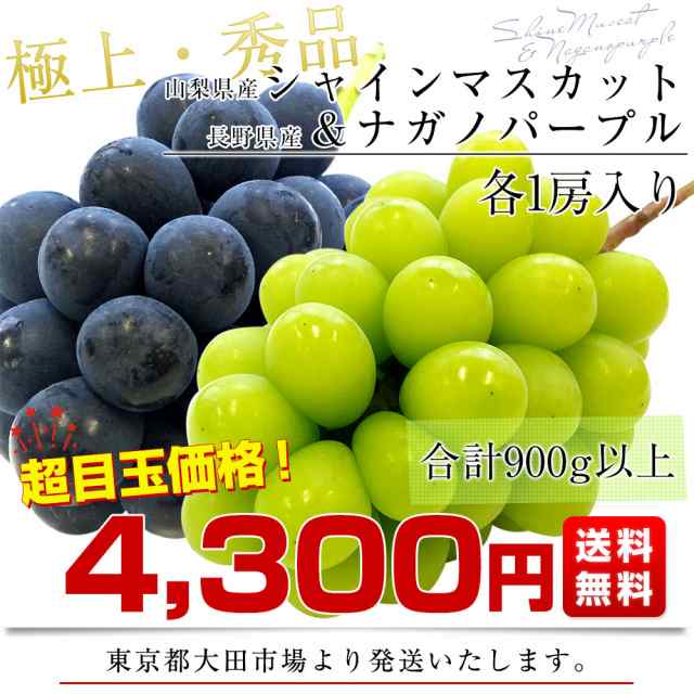 山梨県産 シャインマスカット＆長野県 ナガノパープル 各1房 合計900g以上 送料無料 ぶどう 葡萄 ぶどうセット｜au PAY マーケット