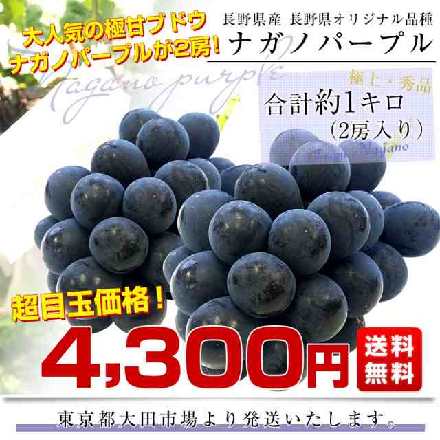 長野県産 ナガノパープル 約1キロ（2房入り）黒ぶどう 葡萄 ブドウ ぶどう 送料無料 クール便の通販はau PAY マーケット - 産直だより |  au PAY マーケット－通販サイト